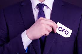 Virtual CFO Article